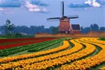 Dutch Language and Culture for Business